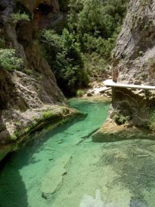 Naturlandskabet i nærheden af lejligheden + 8 billeder