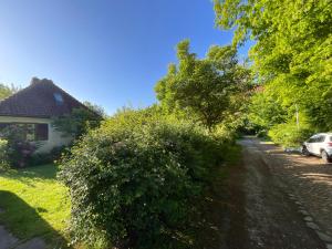 a house with a bush next to a road at Ferienhaus Tätendorf für die ganze Familie in Tätendorf-Eppensen