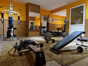 Posilňovňa alebo fitness centrum v ubytovaní Gościniec Pięciu Stawów