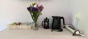 a vase of flowers sitting on a counter with a blender at Stamatia's Garden in Agnontas