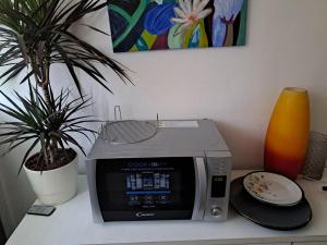 a microwave sitting on a counter next to a plant at Studio apartman Mika in Vela Luka