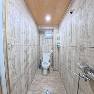 a bathroom with a toilet and a shower at Apartment Gira In Mestia in Mestia +30 photos