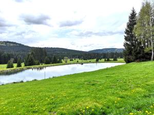 Príroda v okolí apartmánu