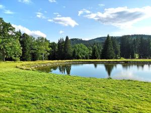 Príroda v okolí apartmánu