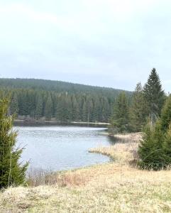 Príroda v okolí apartmánu