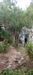 a person walking down a path next to a tree at Casa bohemia cerca del mar in La Marina