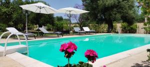 Πισίνα στο ή κοντά στο Villa La Zagara - Fasano