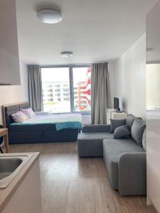 ein Wohnzimmer mit Sofa und Bett in der Unterkunft Harmony106 in Prag