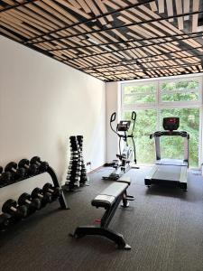 Fitness centrum a/nebo fitness zařízení v ubytování Apartel Shayan