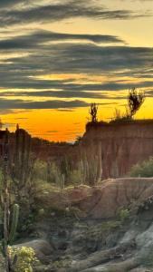 a painting of a desert with a sunset in the background at Hostal ROLLED in Villavieja