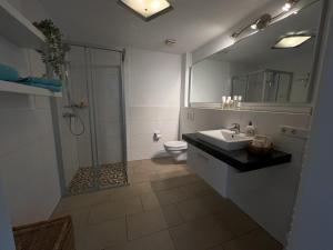 a bathroom with a shower and a sink and a toilet at Gemütlicher Ferienhaus- mit Sauna- Erholung pur an der Nordsee in Burhave