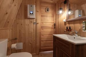 a bathroom with a sink and a toilet and a mirror at Tatra Glamp Bukowina Tatrzańska - Sieć noclegowa Tatra Glamp in Bukowina Tatrzańska
