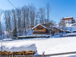 Special Apartment in Walchen with Private Terrace v zimě