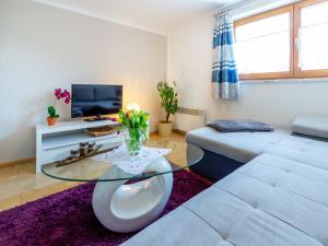 TV a/nebo společenská místnost v ubytování Special Apartment in Walchen with Private Terrace