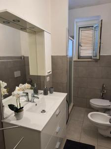 un bagno con lavandino, WC e specchio di Domu Grìsia Apartment Arzachena a Arzachena Altre 7 foto