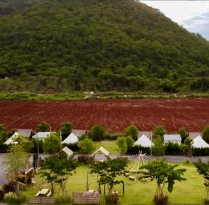 a field with trees and a hill in the background at Chavallee Campground in Ban Tha Chang