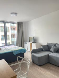 ein Wohnzimmer mit Sofa und Bett in der Unterkunft Harmony106 in Prag
