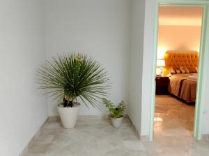 Ένα ή περισσότερα κρεβάτια σε δωμάτιο στο Casa Esmeralda