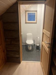 Koupelna v ubytování Aurora Forest Lodge Ylläs