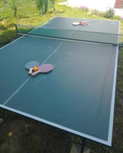 Stolní tenis v ubytování Vila Gorocvet nebo okolí + 23 fotografií