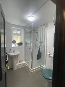 a bathroom with a shower and a sink at The Bolthole in Nailsworth