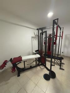 Fitness centrum a/nebo fitness zařízení v ubytování Samel Hotel