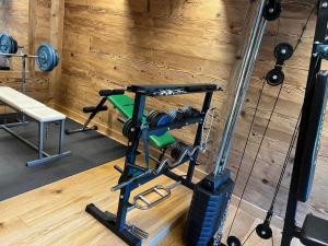 Fitness centrum a/nebo fitness zařízení v ubytování CASA VITTORIA