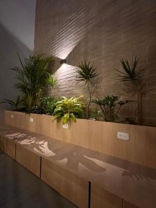 a row of plants on a wall in a lobby at Hotel Estar in Manizales