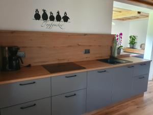 Kuchyň nebo kuchyňský kout v ubytování Haus Schraml