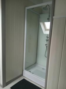 a bathroom with a shower with a mirror at La cabane de Lancelot Loubliette in Laperrière-sur-Saône +18 photos