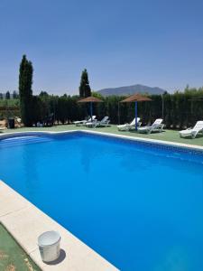 a large blue swimming pool with chairs and umbrellas at Cortijo Ojos del Prado in Caravaca de la Cruz