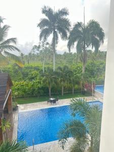 a view of a swimming pool with palm trees at Villa María Miches in Colorado +11 photos
