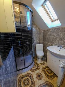 a bathroom with a shower and a toilet and a sink at Pokoje gościnne KOGA in Nickelswalde