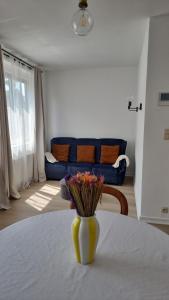 布鲁塞尔Maison Agathe的客厅桌子上的花瓶