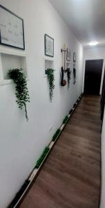 拉拉古纳Natur Vida Home Tenerife的相册照片