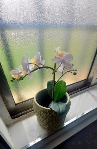 拉拉古纳Natur Vida Home Tenerife的相册照片