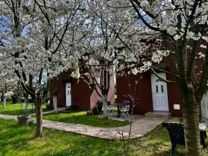 Zahrada ubytování Tiny house 2 - Imanje Terzic