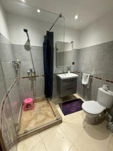a bathroom with a shower and a toilet and a sink at la perle de tanger in Tangier