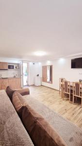 a living room with a brown couch and a kitchen at Lindenhaus in Sibiu