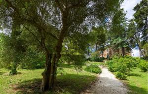 a tree in a field next to a dirt road at Gorgeous Home In Porto San Giorgio in Porto San Giorgio +37 photos