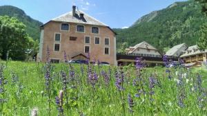 a field of purple flowers in front of a building at Auberge de Jeunesse HI Serre-Chevalier in La Salle Les Alpes