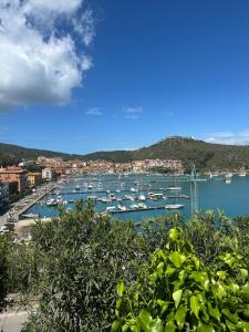 a view of a harbor with boats in the water at La Casetta sul Porto in Porto Ercole +3 photos