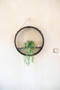 Fotografie z fotogalerie ubytování LONG SUMMER v destinaci Sivota