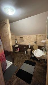 a bathroom with a toilet and a sink at Elizabeth in Mykulychyn +13 photos