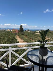 a table with a potted plant on a balcony at Irène House in Egina