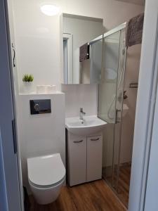 a bathroom with a toilet and a sink and a shower at Willa Morski Klimat in Łeba +70 photos