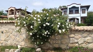 a bush of white flowers on a stone wall at къща за гости villa Jurta in Avren