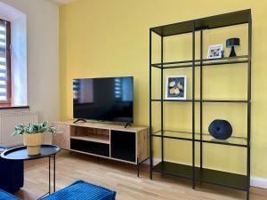 a living room with a television and a shelf at Gassentraum NEU mit Balkon in Pirna