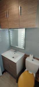 a bathroom with a sink and a toilet and a mirror at Villa Mon Repos 3 in La Bourboule +13 photos