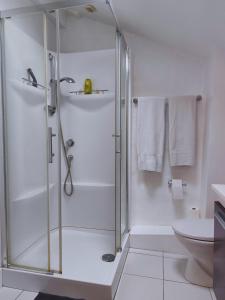 a white bathroom with a shower and a toilet at Château Lafite Monteil - proche Bordeaux in Salleboeuf +45 photos